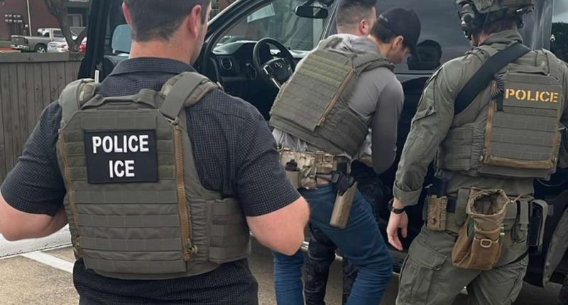 ICE nabs Venezuelan migrant wanted in 4 murder-for-hire assassinations