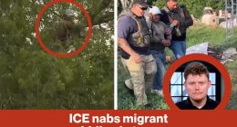 ICE nabs migrant hiding in tree | Reporter Replay