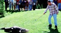 Iconic star of Happy Gilmore dies as Adam Sandler leads tributes saying ‘we are all gonna miss you’