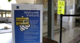 If You Squint Real Hard You Can See the Hilarious 'Bright' Spot About Real ID
