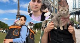 Illinois pet owner spent $23,000 for his cats to travel world 10 times in 2 years