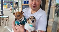 Glenn Tong was charged by Boroondara Council for allowing his dogs, Marco and Mia, to bark excessively, in his Hawthorn apartment