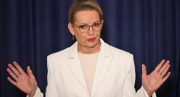 Sussan Ley's decision - as the first female leader of the Liberals - to dump four women from the shadow cabinet was an interesting one. Interesting being a euphemism for insanely stupid