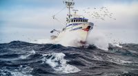 Is ‘Deadliest Catch’ Coming Back in 2025? A Captain Dropped a Big Hint About Show’s Future