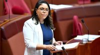 Jacinta Nampijinpa Price has announced her candidacy for deputy leader of the Liberal Party