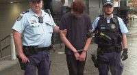 The group was arrested - two boys aged 14, and two girls aged 12 and 17 (pictured one of the arrested teens)