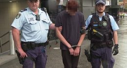 The group was arrested - two boys aged 14, and two girls aged 12 and 17 (pictured one of the arrested teens)