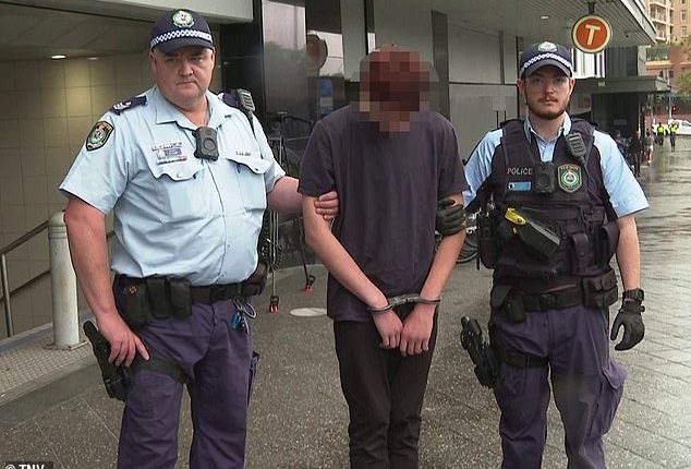 The group was arrested - two boys aged 14, and two girls aged 12 and 17 (pictured one of the arrested teens)