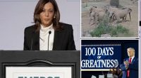 Kamala Harris bizarrely references viral elephant video in speech attacking Trump’s ‘vision for America’ after first 100 days: ‘Google it’