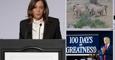 Kamala Harris bizarrely references viral elephant video in speech attacking Trump’s ‘vision for America’ after first 100 days: ‘Google it’