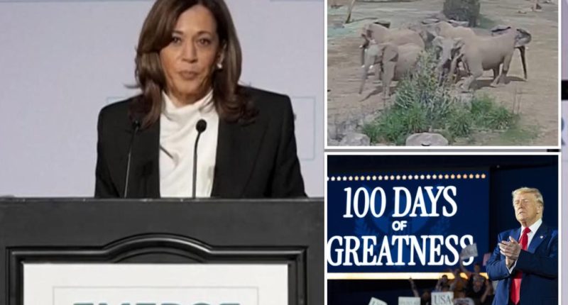 Kamala Harris bizarrely references viral elephant video in speech attacking Trump’s ‘vision for America’ after first 100 days: ‘Google it’