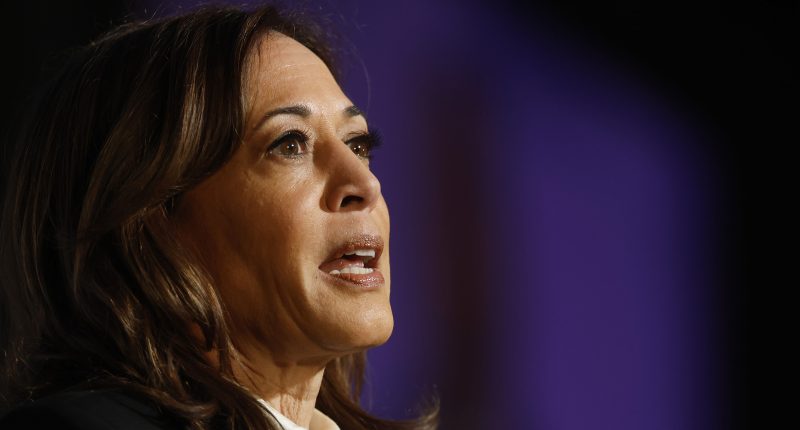 Kamala Harris' 2025 Met Gala Look Is Rife With Secret Symbolism (& Trump Shade)