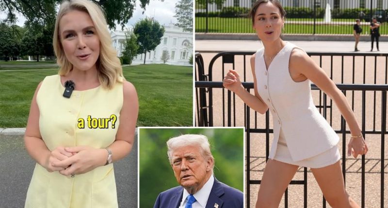 Karoline Leavitt, influencer run into Hollywood Trump critic Jason Isaacs visiting White House in behind-the-scenes video