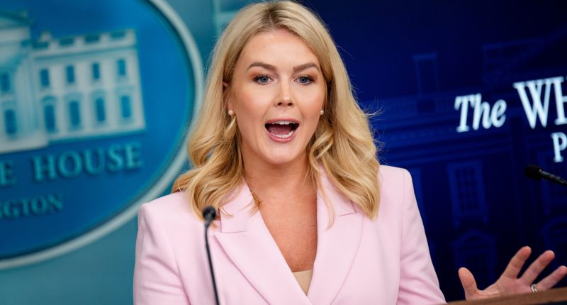 Karoline Leavitt's Frumpy Work Outfit Isn't Doing Her Killer Body Any Favors
