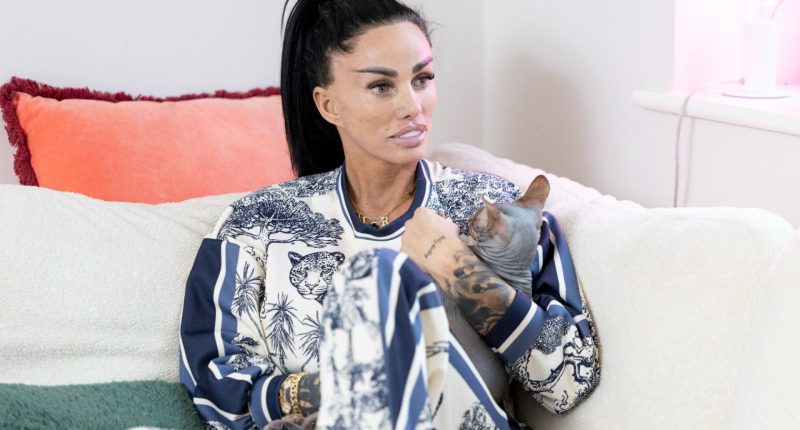 Katie Price boasts she earns ‘really good money’ but claims she can’t rent anywhere to live after bankruptcy hell