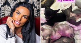 Katie Price shares rare snap of her five pets after being slammed by animal charity
