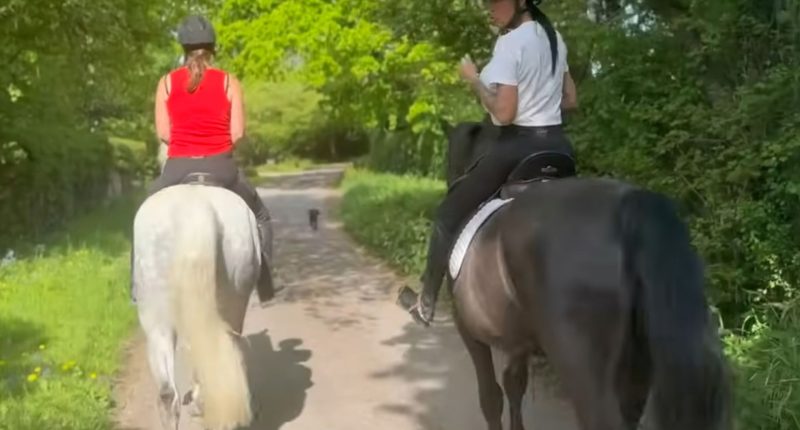 Katie Price slammed for ‘putting puppy in danger’ as fans warn ‘you need to keep your pets safe!’