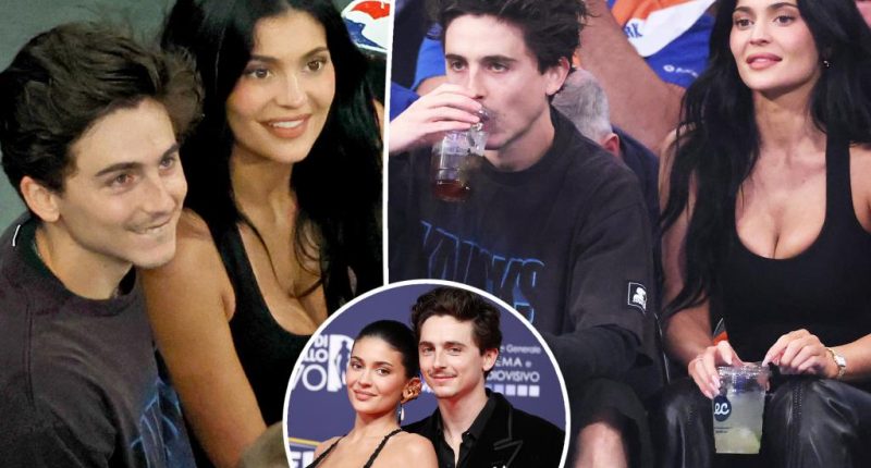 Kylie Jenner and Timothée Chalamet cozy up at Knicks game after flashy red carpet debut