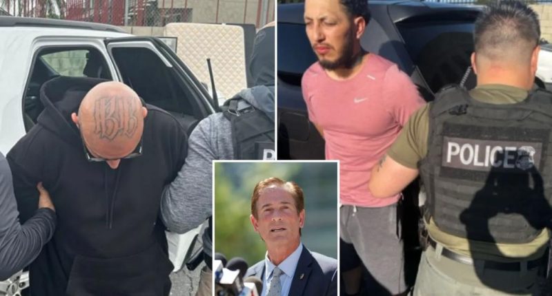 LA County DA Nathan Hochman promises crackdown on illegal immigrants: ‘The fun is over’