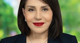 Carmen Lazar (pictured), the Coalition candidate for the seat of McMahon in western Sydney , is a former Labor councillor who fell out with the party after Chris Bowen, the energy minister and incumbent McMahon MP, backed another candidate in the 2023 NSW state election