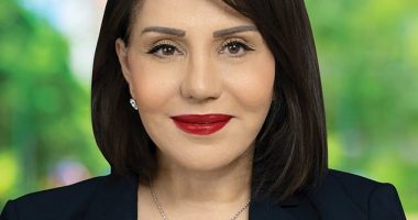 Carmen Lazar (pictured), the Coalition candidate for the seat of McMahon in western Sydney , is a former Labor councillor who fell out with the party after Chris Bowen, the energy minister and incumbent McMahon MP, backed another candidate in the 2023 NSW state election