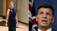 Liberal party leadership race LIVE: Sussan Ley reveals family heartbreak she hid through leadership battle - as she's grilled over future of Peter Dutton's most controversial policy