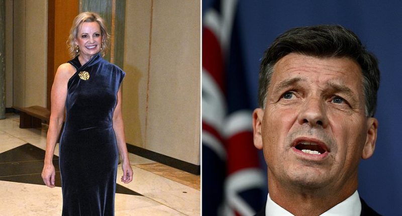 Liberal party leadership race LIVE: Sussan Ley reveals family heartbreak she hid through leadership battle - as she's grilled over future of Peter Dutton's most controversial policy
