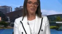 Liberal senator Anne Ruston (pictured) was criticised for suggesting the Liberal Party use AI to analyse its election results