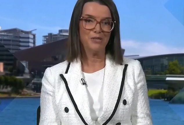 Liberal senator Anne Ruston (pictured) was criticised for suggesting the Liberal Party use AI to analyse its election results