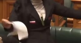 Last November, 22-year-old Hana-Rawhiti Maipi-Clarke ripped up a controversial bill and erupted into a passionate haka in New Zealand's Parliament (pictured)