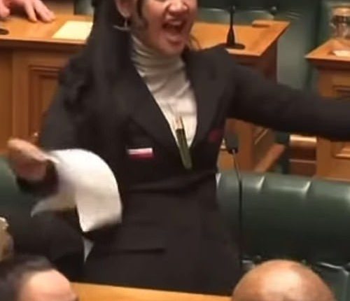 Last November, 22-year-old Hana-Rawhiti Maipi-Clarke ripped up a controversial bill and erupted into a passionate haka in New Zealand's Parliament (pictured)