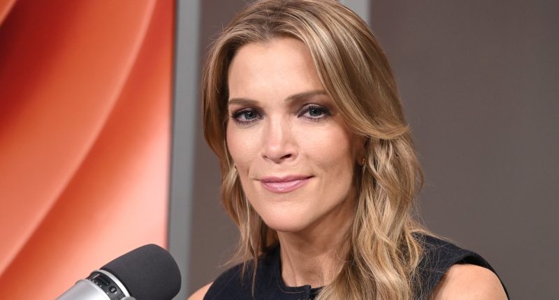 Megyn Kelly's Dangerously Low-Cut Top Looks Better Suited For The Club