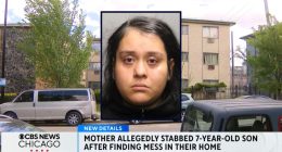 Mom ruptured 7-year-old son’s diaphragm after she ‘accidentally’ stabbed him with kitchen knife because he made a mess: Cops
