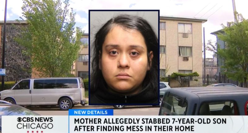 Mom ruptured 7-year-old son’s diaphragm after she ‘accidentally’ stabbed him with kitchen knife because he made a mess: Cops