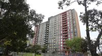 Lauren Hopkins, 47, was found with head injuries on the 16th floor of a unit block on Morehead Street at Redfern, in Sydney , at 4.30pm on Saturday