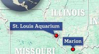 The above map shows Missouri and Illinois and the locations where measles exposure alerts have been issued in the area in recent days