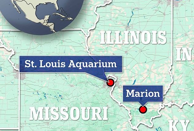 The above map shows Missouri and Illinois and the locations where measles exposure alerts have been issued in the area in recent days