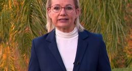 Sussan Ley said she drown from Canberra to Albury to see her ill mother after she won the Liberal party leadership vote following Peter Dutton's shock ousting from Parliament