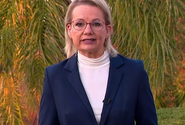 Sussan Ley said she drown from Canberra to Albury to see her ill mother after she won the Liberal party leadership vote following Peter Dutton's shock ousting from Parliament