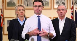 Nationals leader David Littleproud (pictured alongise Nationals Deputy Leader Kevin Hogan and Nationals Senate Leader Bridget McKenzie)