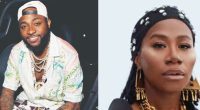 Nigerian Music Icons Davido and Asa  Allegedly Set to Perform at National Sports Festival Opening