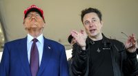 No, Elon Isn't Leaving Government Because He Is Upset