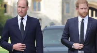 Palace Insider Reveals What Prince William Thinks After Prince Harry Said He Wants to Reconcile While Hurling More Verbal Grenades at His Family