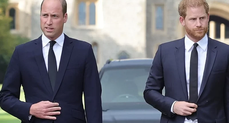 Palace Insider Reveals What Prince William Thinks After Prince Harry Said He Wants to Reconcile While Hurling More Verbal Grenades at His Family