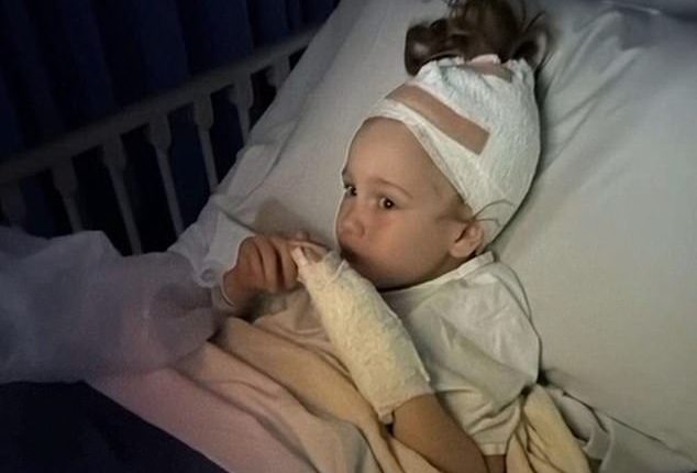 Margot McNicol (pictured) was attacked by an American Staffy on Sunday morning