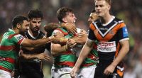 Two men have been arrested over an alleged wild brawl during Sunday night's clash between the Tigers and Rabbitohs at Campbelltown Sports Stadium (pictured, Souths celebrate a try during the game)