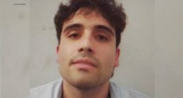 Possible plea deal reached with Ovidio Guzmán López, son of 'El Chapo'
