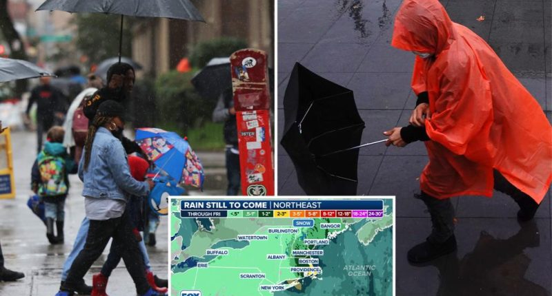 Rare May nor’easter brings cool wind and rain ahead of Memorial Day weekend