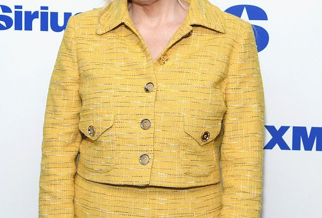 Rebel Wilson is once again shining light on the conflicts surrounding her stalled film The Deb; pictured on May 6