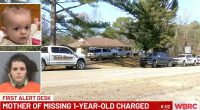 Remains of missing 1-year-old found in ‘burn pile’ at family’s home 5 months after dad and sibling killed in 90 mph car crash: Sheriff